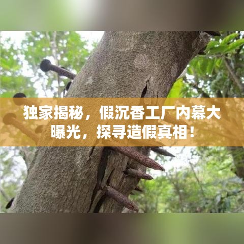 独家揭秘，假沉香工厂内幕大曝光，探寻造假真相！