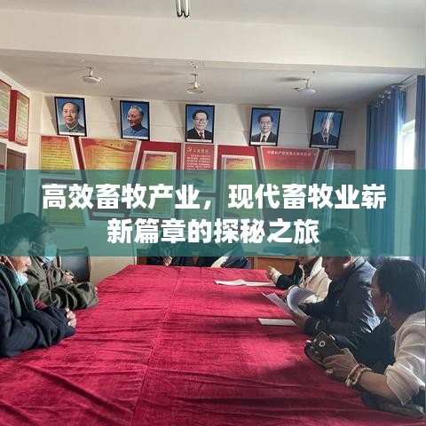 高效畜牧产业，现代畜牧业崭新篇章的探秘之旅
