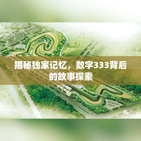 揭秘独家记忆，数字333背后的故事探索
