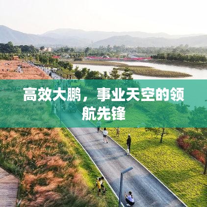 高效大鹏，事业天空的领航先锋