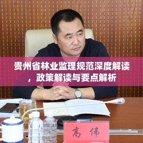 贵州省林业监理规范深度解读，政策解读与要点解析
