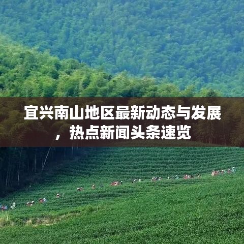 宜兴南山地区最新动态与发展，热点新闻头条速览