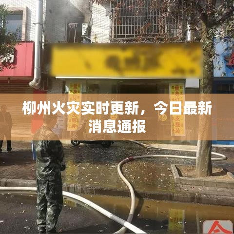 柳州火灾实时更新，今日最新消息通报