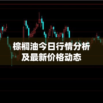 棕榈油今日行情分析及最新价格动态