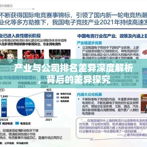 产业与公司排名差异深度解析，背后的差异探究