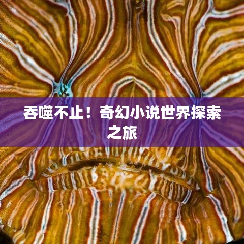 吞噬不止！奇幻小说世界探索之旅