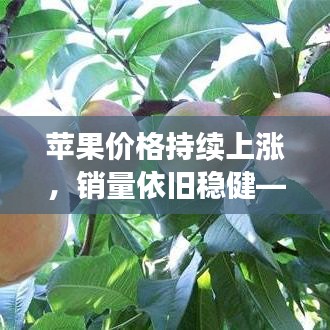 苹果价格持续上涨，销量依旧稳健——市场背后的真相揭秘