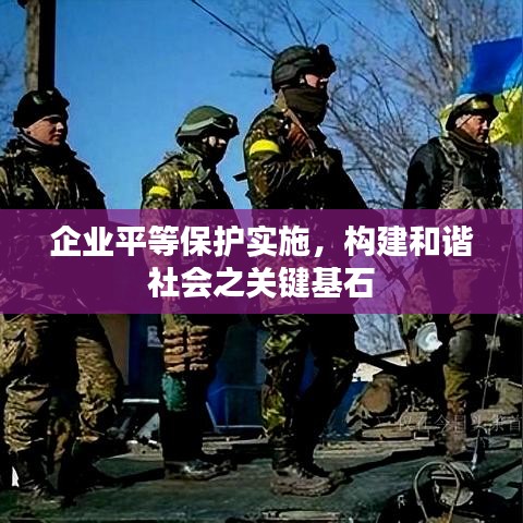 企业平等保护实施，构建和谐社会之关键基石
