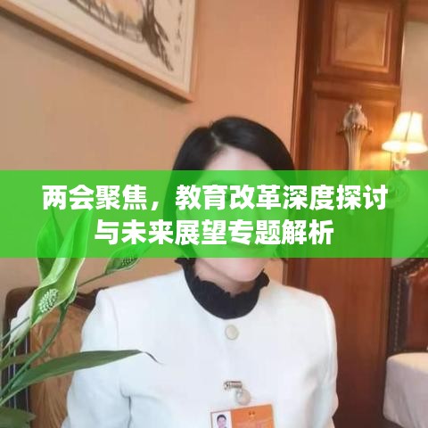 两会聚焦，教育改革深度探讨与未来展望专题解析