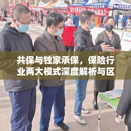 共保与独家承保，保险行业两大模式深度解析与区别探讨