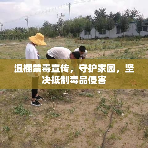温棚禁毒宣传，守护家园，坚决抵制毒品侵害