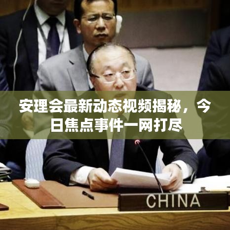 安理会最新动态视频揭秘，今日焦点事件一网打尽