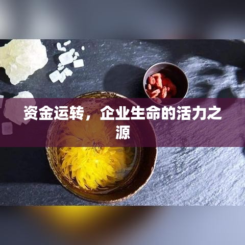 资金运转，企业生命的活力之源