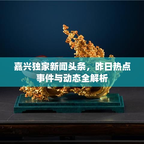 嘉兴独家新闻头条，昨日热点事件与动态全解析