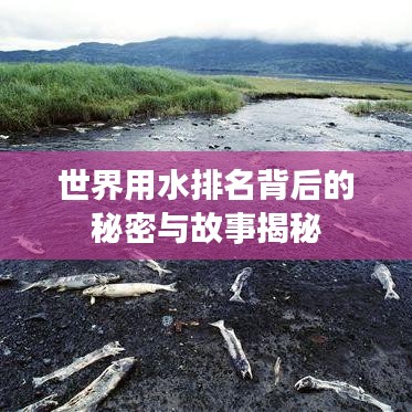 世界用水排名背后的秘密与故事揭秘