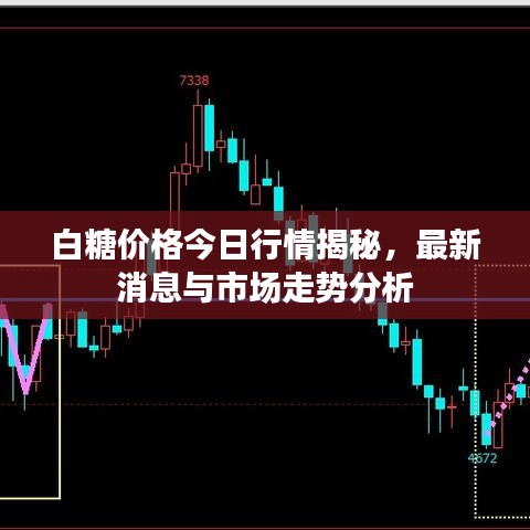 2025年5月26日