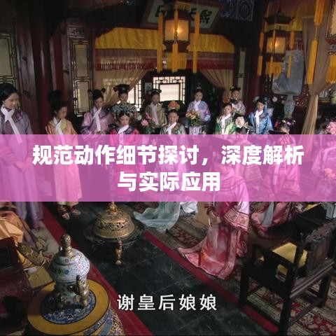 规范动作细节探讨，深度解析与实际应用