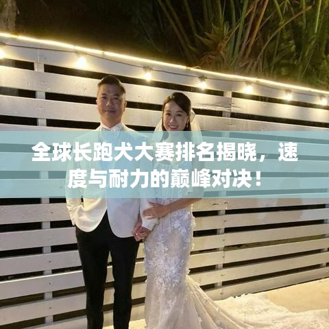 全球长跑犬大赛排名揭晓，速度与耐力的巅峰对决！