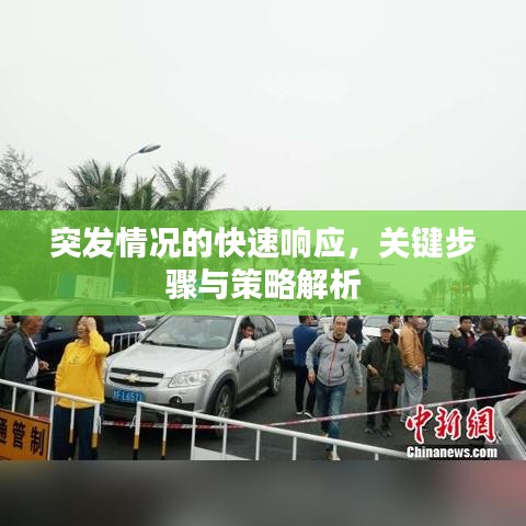 突发情况的快速响应，关键步骤与策略解析