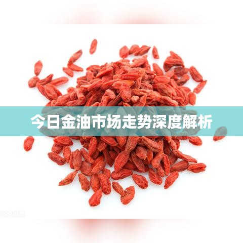今日金油市场走势深度解析
