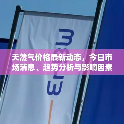 天然气价格最新动态，今日市场消息、趋势分析与影响因素探讨