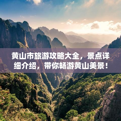 尊道贵德