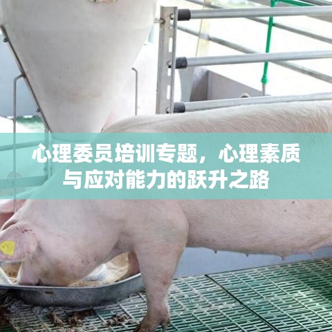 心理委员培训专题，心理素质与应对能力的跃升之路