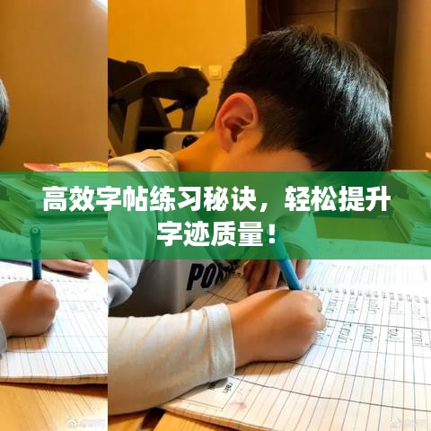 靡颜腻理