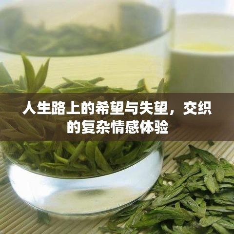 见仁见智