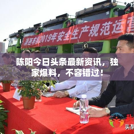 陈阳今日头条最新资讯，独家爆料，不容错过！