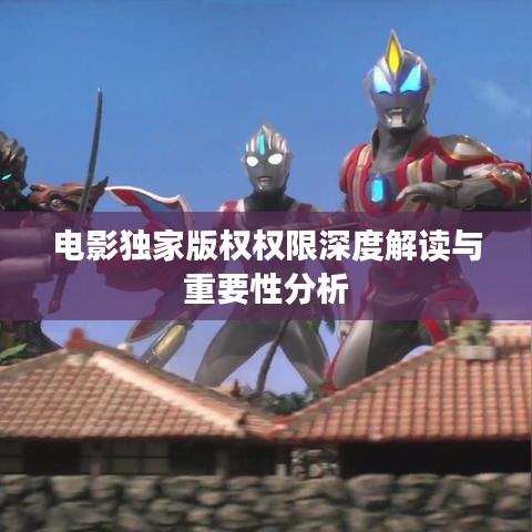 电影独家版权权限深度解读与重要性分析