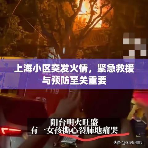 上海小区突发火情，紧急救援与预防至关重要