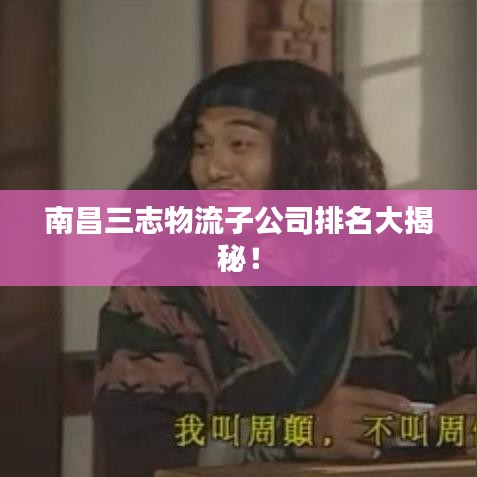 南昌三志物流子公司排名大揭秘！