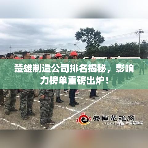 楚雄制造公司排名揭秘，影响力榜单重磅出炉！