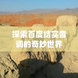 探索百度结实音调的奇妙世界
