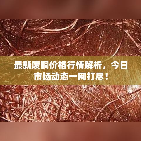 最新废铜价格行情解析，今日市场动态一网打尽！