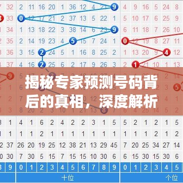 揭秘专家预测号码背后的真相，深度解析号码秘密，百度权威收录！