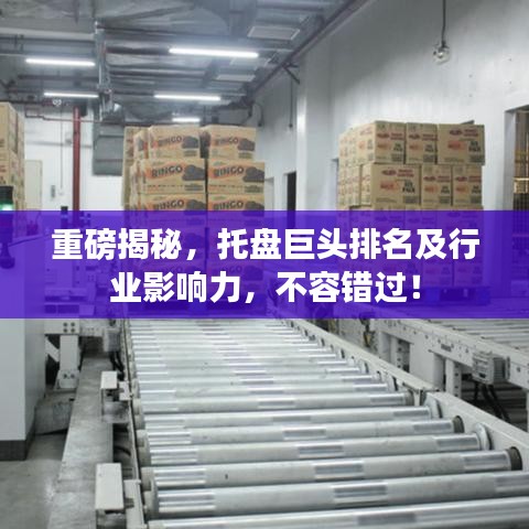 重磅揭秘，托盘巨头排名及行业影响力，不容错过！