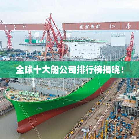 全球十大船公司排行榜揭晓！