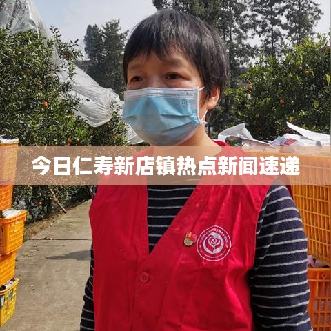 今日仁寿新店镇热点新闻速递