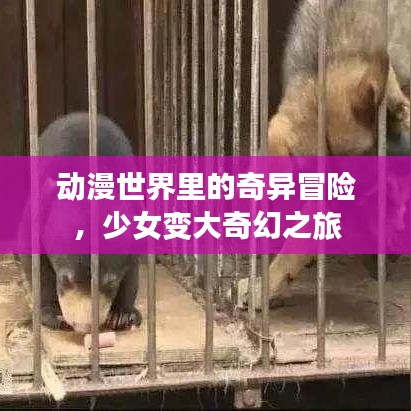 动漫世界里的奇异冒险，少女变大奇幻之旅