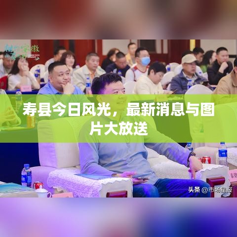 寿县今日风光，最新消息与图片大放送