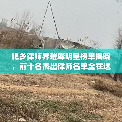 肥乡律师界璀璨明星榜单揭晓，前十名杰出律师名单全在这！