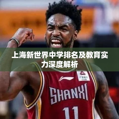 上海新世界中学排名及教育实力深度解析