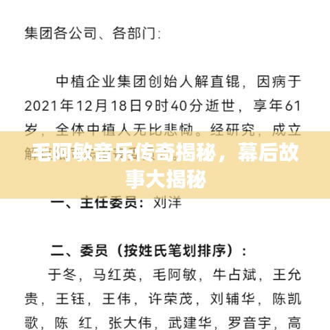 毛阿敏音乐传奇揭秘，幕后故事大揭秘