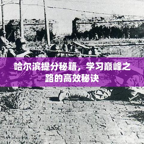 哈尔滨提分秘籍，学习巅峰之路的高效秘诀