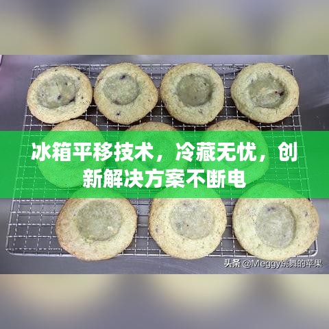 冰箱平移技术，冷藏无忧，创新解决方案不断电