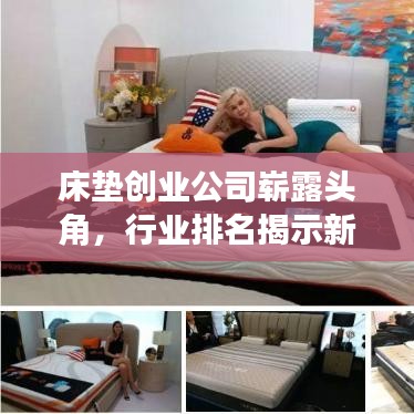 床垫创业公司崭露头角，行业排名揭示新兴力量重磅榜单！