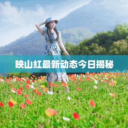 映山红最新动态今日揭秘