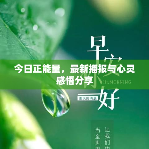今日正能量，最新播报与心灵感悟分享